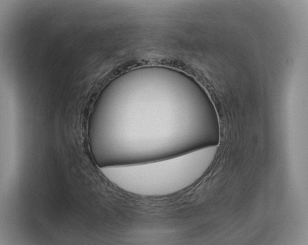 X0000113171253200909040927