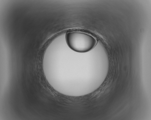 X0000113171255200909040927