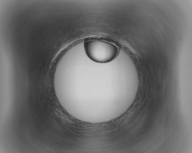 X0000113171256200909040927