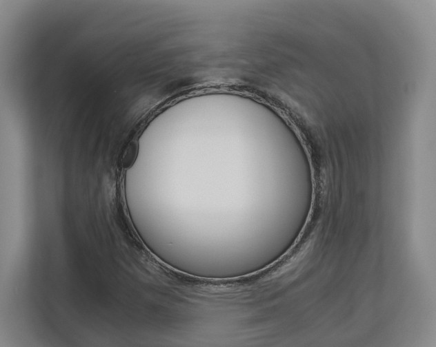 X0000113171257200909040927