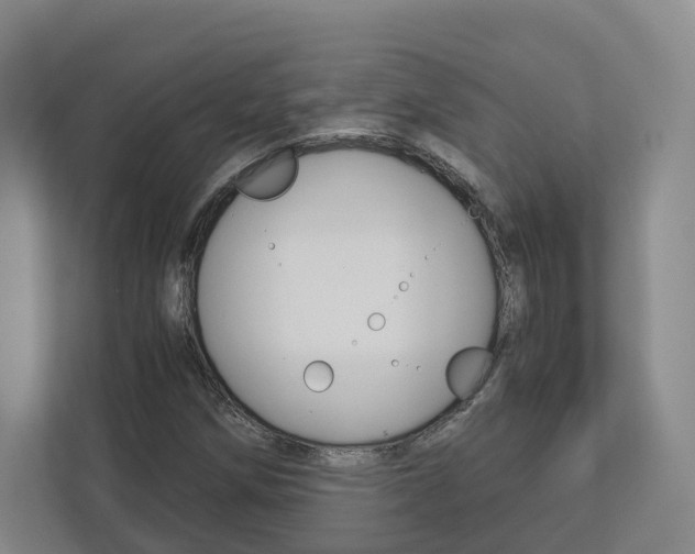 X0000113171258200909040927
