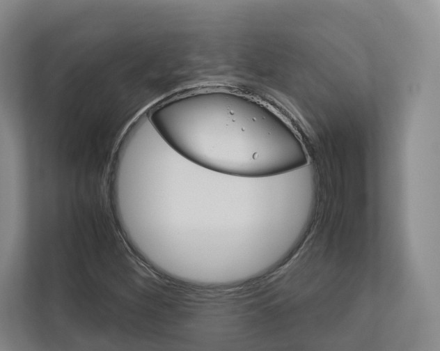 X0000113171260200909040927