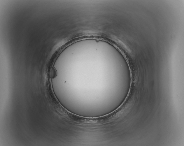 X0000113171261200909040927