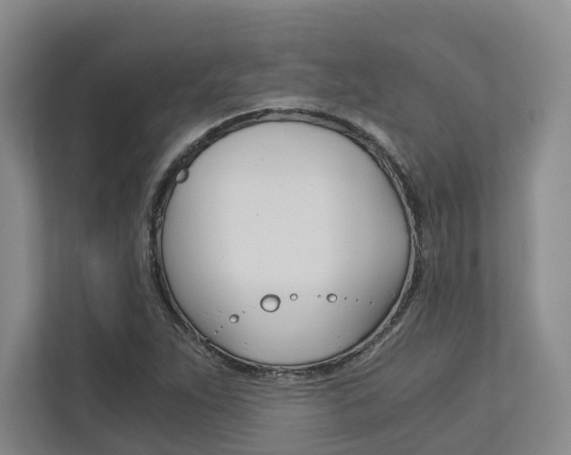 X0000113171263200909040927