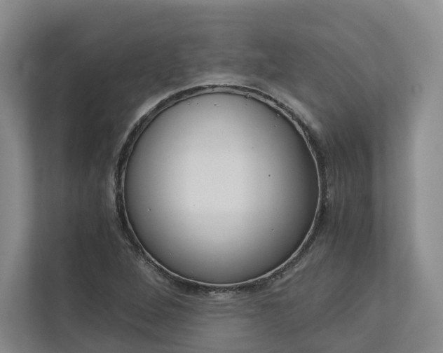 X0000113171264200909040927