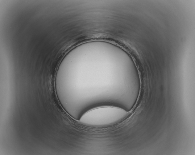X0000113171265200909040927