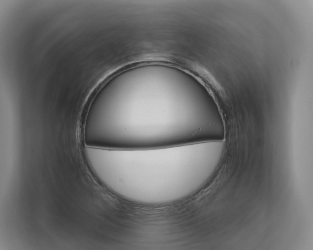 X0000113171268200909040927