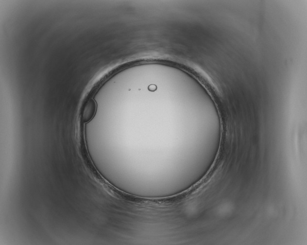 X0000113171270200909040927