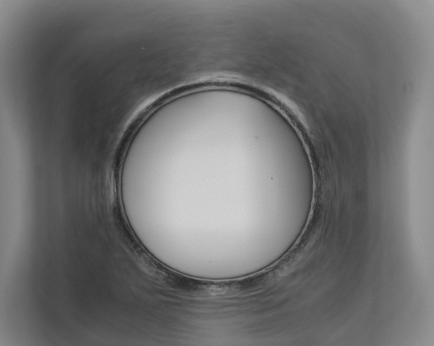 X0000113171271200909040927
