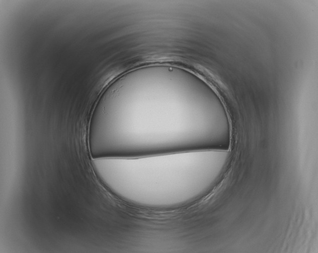 X0000113171273200909040927