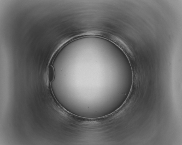X0000113171276200909040927
