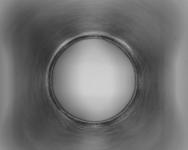 X0000113171279200909040927