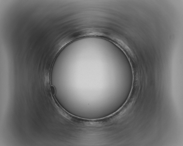 X0000113171281200909040926