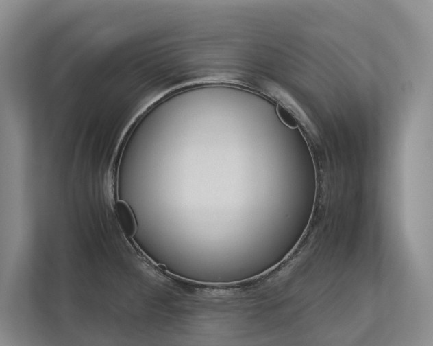 X0000113171284200909040926