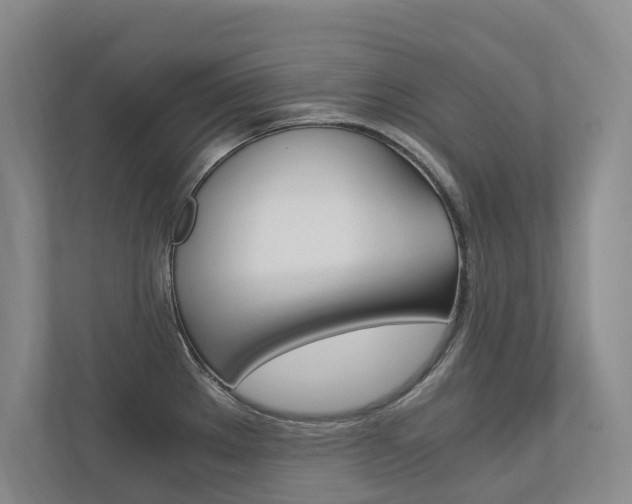 X0000113171289200909040926
