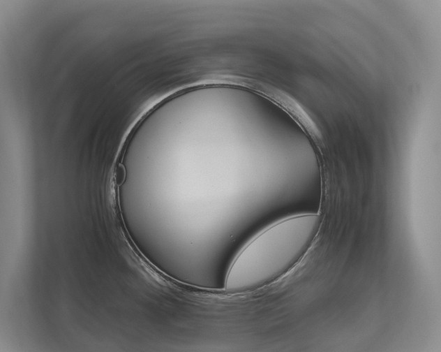 X0000113171292200909040926