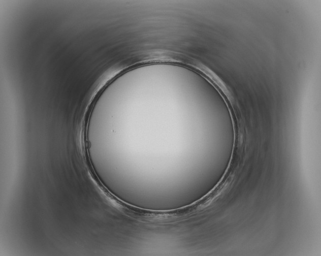 X0000113171293200909040926