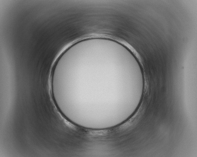 X0000113171294200909040926