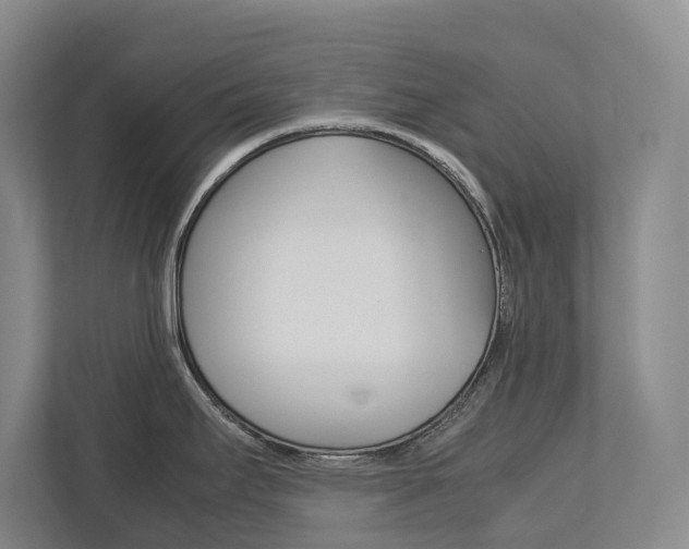 X0000113171295200909040926