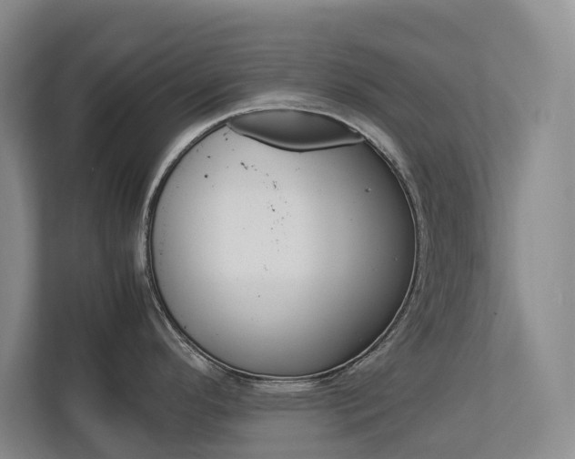 X0000113171296200909040926