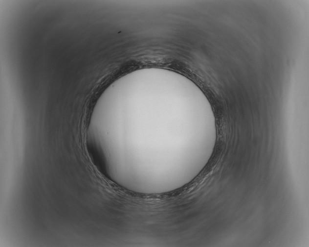 X0000113171297200909040926