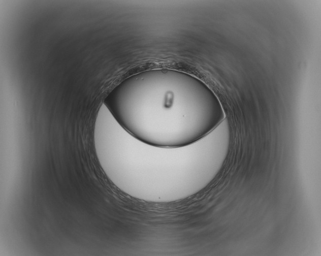X0000113171298200909040926