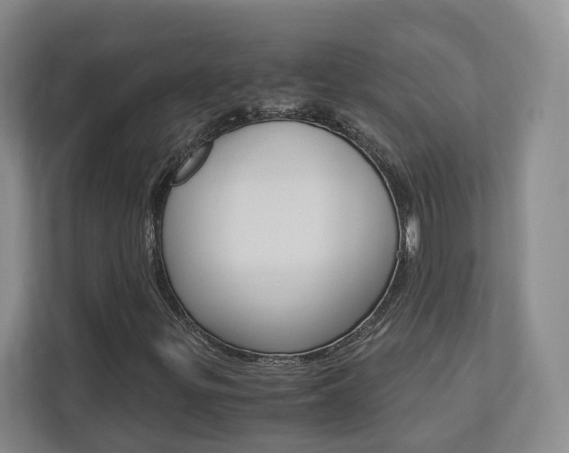 X0000113171299200909040926