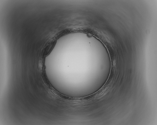 X0000113171300200909040926