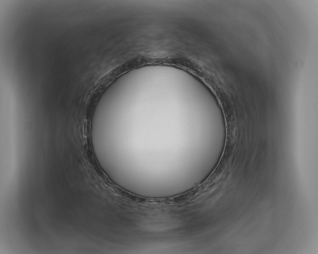 X0000113171301200909040926