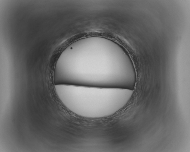 X0000113171303200909040926