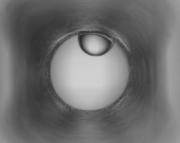 X0000113171304200909040926