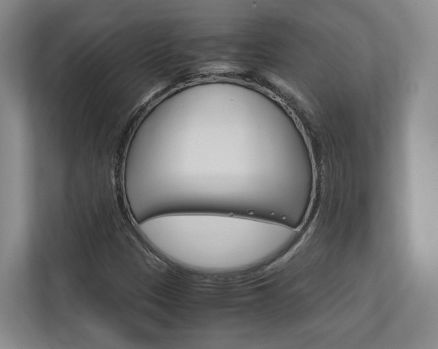 X0000113171305200909040926