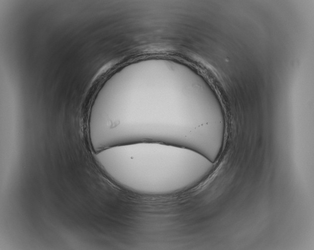 X0000113171306200909040926