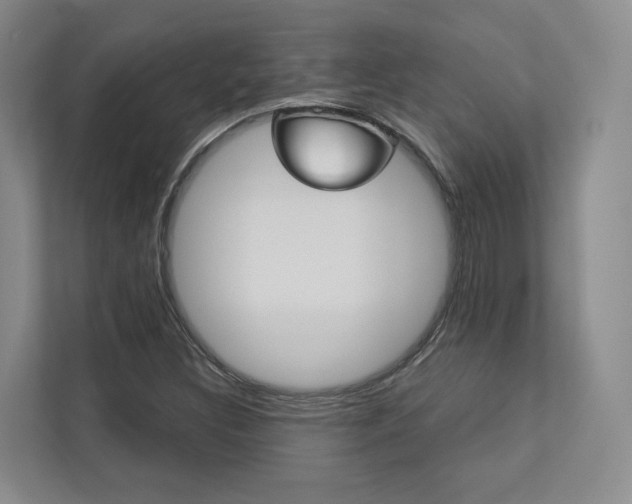X0000113171308200909040926