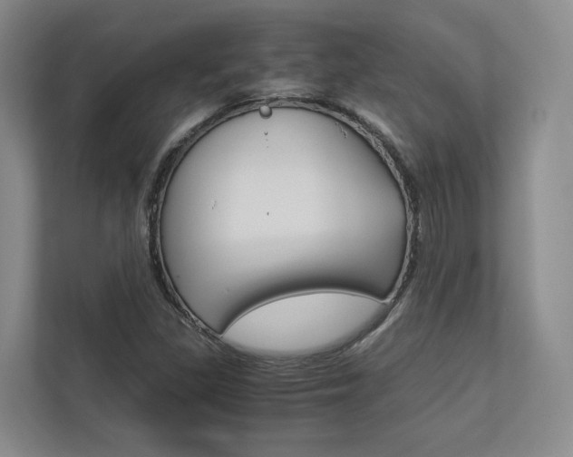 X0000113171309200909040926