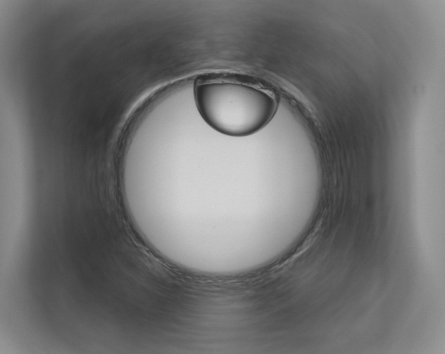 X0000113171310200909040926