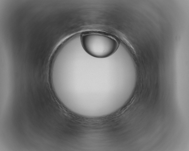 X0000113171312200909040926