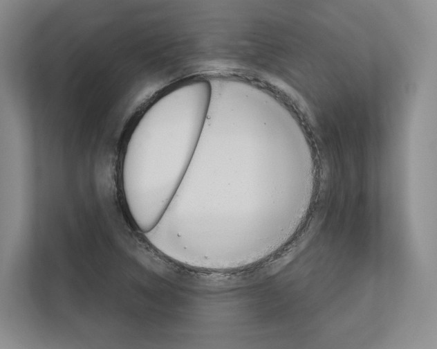 X0000113171314200909040926