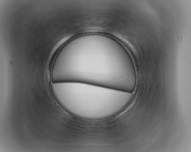 X0000113171317200909040926