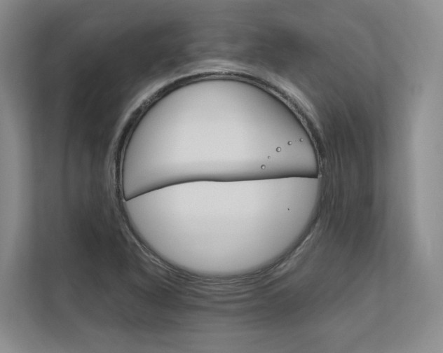 X0000113171318200909040926
