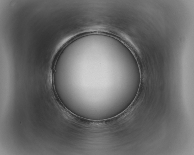 X0000113171320200909040926