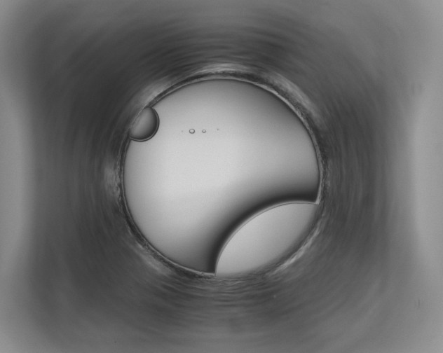 X0000113171321200909040926