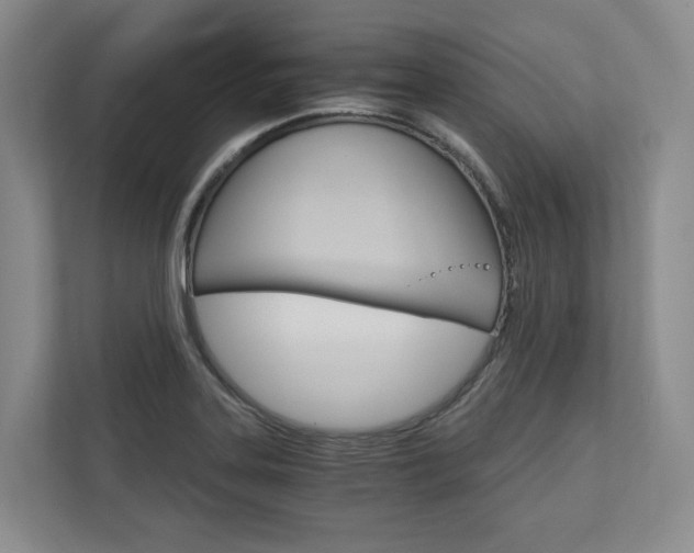X0000113171323200909040926