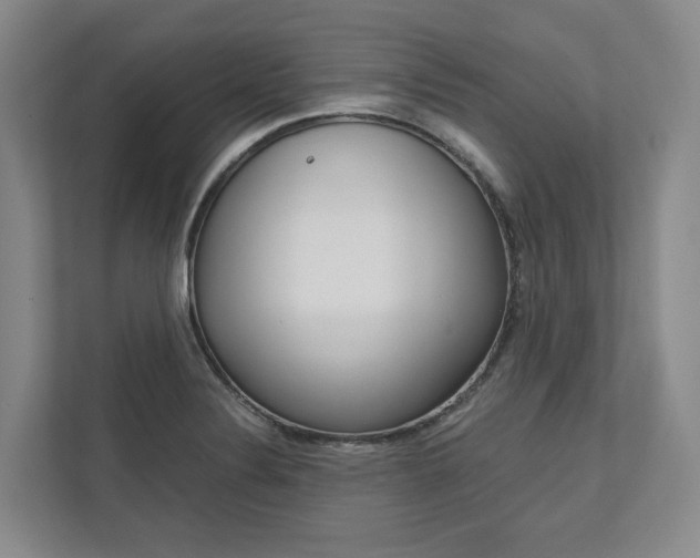 X0000113171324200909040926