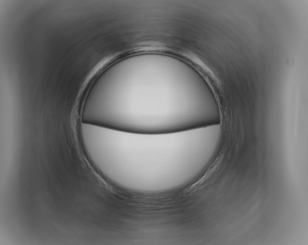 X0000113171325200909040926