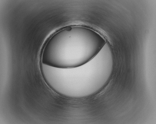 X0000113171326200909040926