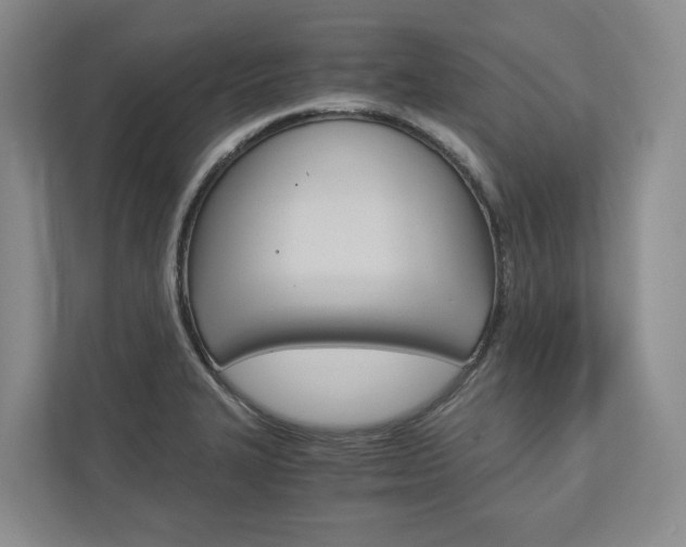 X0000113171327200909040926