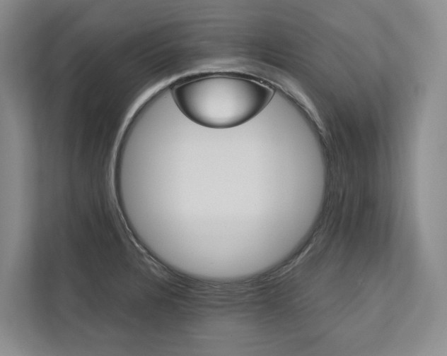 X0000113171328200909040926