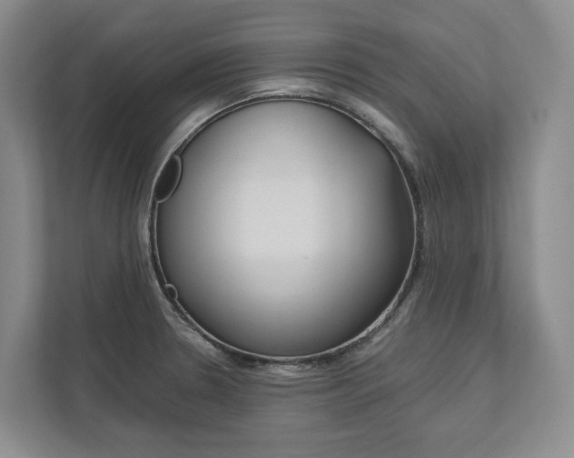 X0000113171330200909040926