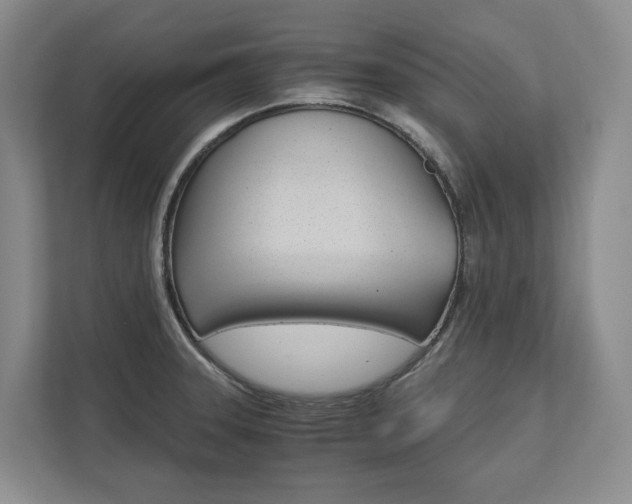 X0000113171331200909040926